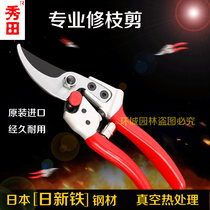 Japan Show Fields Flowers Prunes Prunes Prunes Prunes Prunes Scissors Pruning Scissors Pruning Gardening Landscaping Garden Sheen Cut Flowers Art Cut Flowers Tools