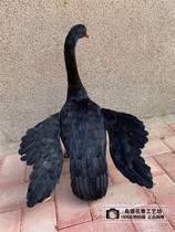 Simulation Feather Black Swan Windows Swing Piece Photography Shooting Props Landscaper Home Decoration Spread Wings Swan Model