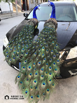 Simulation peacock feather tailing Peacock wedding garden design film and television shooting props office living room decoration