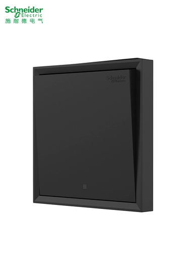 Переключатель Schneider Shocket Pane