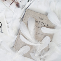 ins Wind Nordic white feather pendulum Photo Photo Photo props room decoration Net Red Dream nail art background