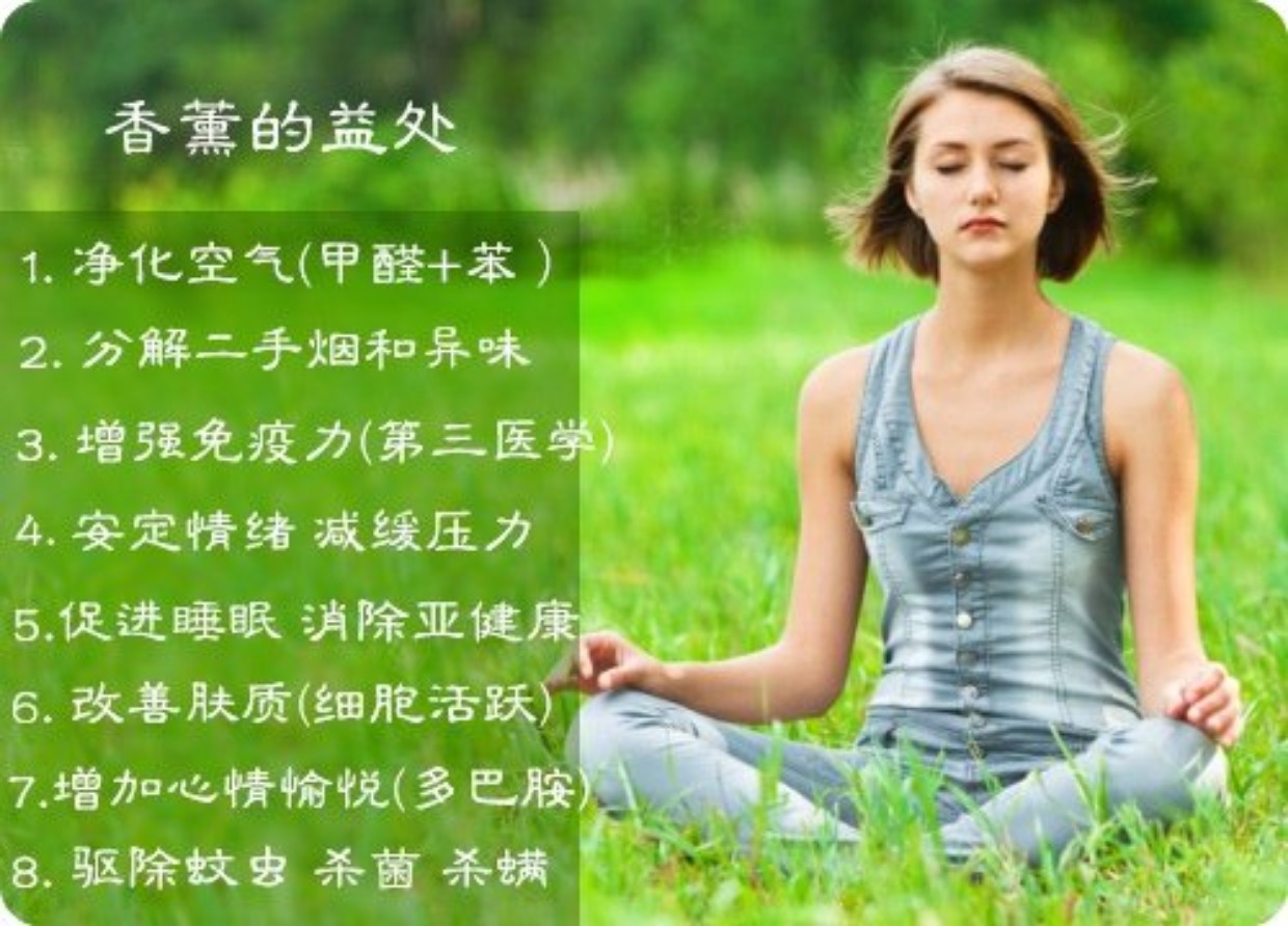 Hương thơm 01 Phong cách - Gỗ đàn hương thơm Ấn Độ Hoa sen Ấn Độ Himalaya Nhập khẩu Vana Hương liệu - Sản phẩm hương liệu thắp hương