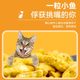 Luce Cat Biscuits ໂພຊະນາການເຮັດຄວາມສະອາດແຂ້ວກະປ໋ອງປາແຫ້ງ Cat Mint Cat Grass Kittens Teething Sticks Cat Snacks Supplies