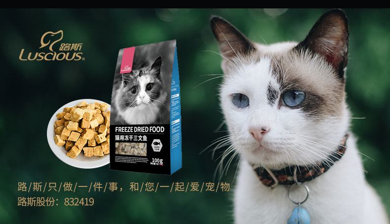 Lusi đồ ăn nhẹ mèo đông lạnh thịt gà khô cá hồi 100g vào thịt mèo trẻ dải thịt khô - Đồ ăn nhẹ cho mèo ca hop
