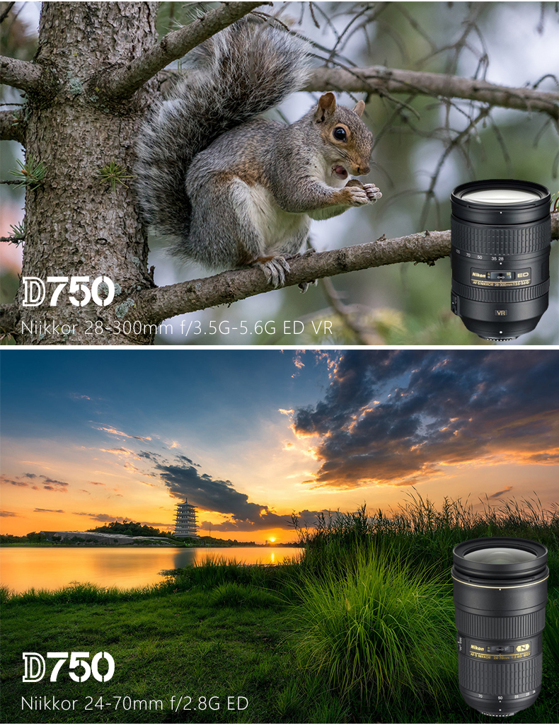 Nikon Nikon D750 cơ thể đầy đủ khung kiến ​​nhiếp ảnh SLR chuyên nghiệp máy ảnh kỹ thuật số HD du lịch