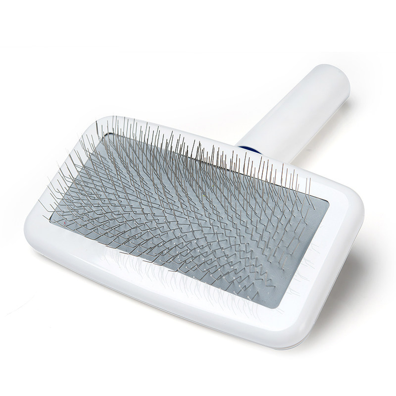 Popularity Seconds Kill Pet Beauty Shop Small White Comb Guests Teddy Bibi Panda With Comb Air Cushion Round Shank Needle Comb