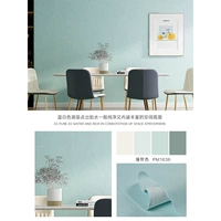 PM1636 Mint Color
