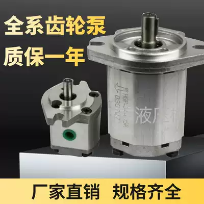 Taiwan-HP high-pressure gear pump HGP-1A-F1R F2R F3R F4R F5R F6R F8R oil pump