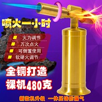 Burn Test Gold Spray Fire Gun Lighter Dental Portable High Temperature Gas Welding Gun Home Burning Hair Point Charcoal Spray Gun Baking