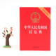 Genuine 2020 new version of the Civil Code of the People's Republic of China with draft instructions 32-open embossed hot stamping version Legal Press 2020 Civil Code and Regulations Separate Edition Civil Code 2023 version genuine applicable