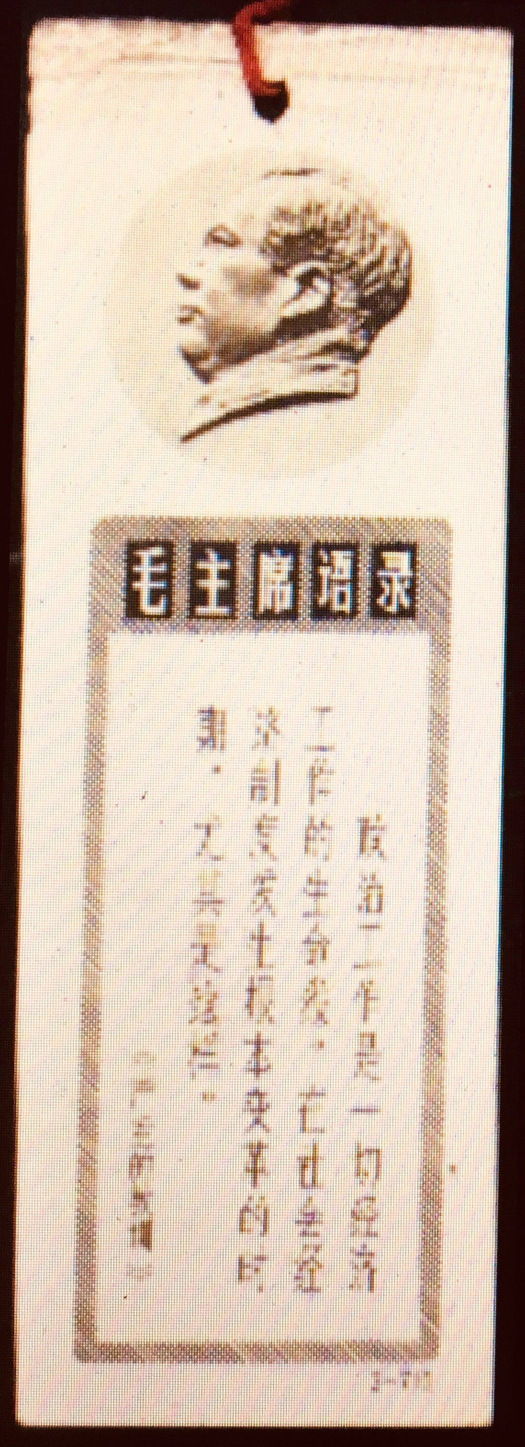 Book with a hair like a bookmark