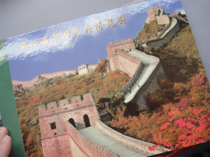 ͼƬ��������´��ڴ򿪲鿴