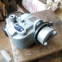 Magnetic motor hand-operated generator Taimei gas rammer generator permanent magnet brushless alternator 220V 200 watts W