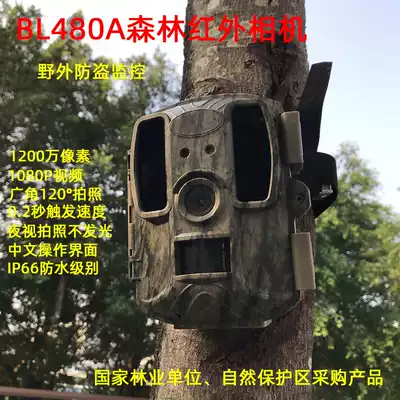 BL480A infrared camera field surveillance camera forestry protection forest site anti-theft security monitoring