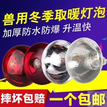 Piglet insulation lamp breeding 250W veterinary chicken pig farm heating equipment heating light bulb pig heating lamp