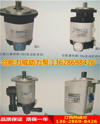 Weichai Tai'an Wuyue Crane Насос гидроусилителя рулевого управления QC18/13-226B Hefei Liwei Автомобильный масляный насос