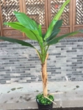 Kerry Simulation Basana Tree Популярное цветочное искусство пластиковое цветочное цветочное покрытие Bonsai Большое зеленое банановое дерево Потана