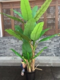 Kerry Simulation Basana Tree Популярное цветочное искусство пластиковое цветочное цветочное покрытие Bonsai Большое зеленое банановое дерево Потана