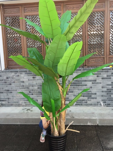 Kerry Simulation Basana Tree Популярное цветочное искусство пластиковое цветочное цветочное покрытие Bonsai Большое зеленое банановое дерево Потана