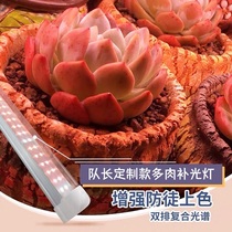  Captains new succulent fill light color full spectrum led household indoor flower imitation sun plant growth light