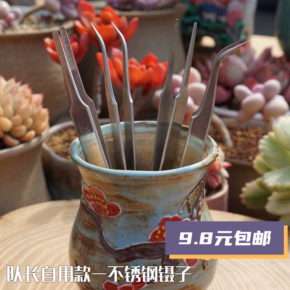 Captain's Home Imports Stainless Steel Tweezers Elbow Round Head Thickened Pointed Tweezers Multi-Meat Planting Special Tools