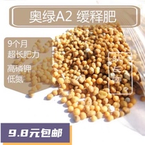 Captains succulent fertilizer Austrian green A2 slow-release fertilizer particles Special fertilizer for succulents controlled color fertilizer