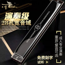 German imported sound Reed Swan 28-hole high-end Polyphonic c-toned harmonica advanced adult professional accent performance piano