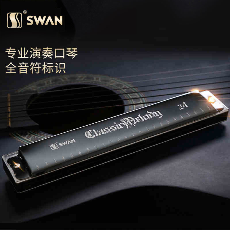 German import sound spring 24 holes comeback harmonica ACDEFG12 height-end professional playing class gift-giving-Taobao