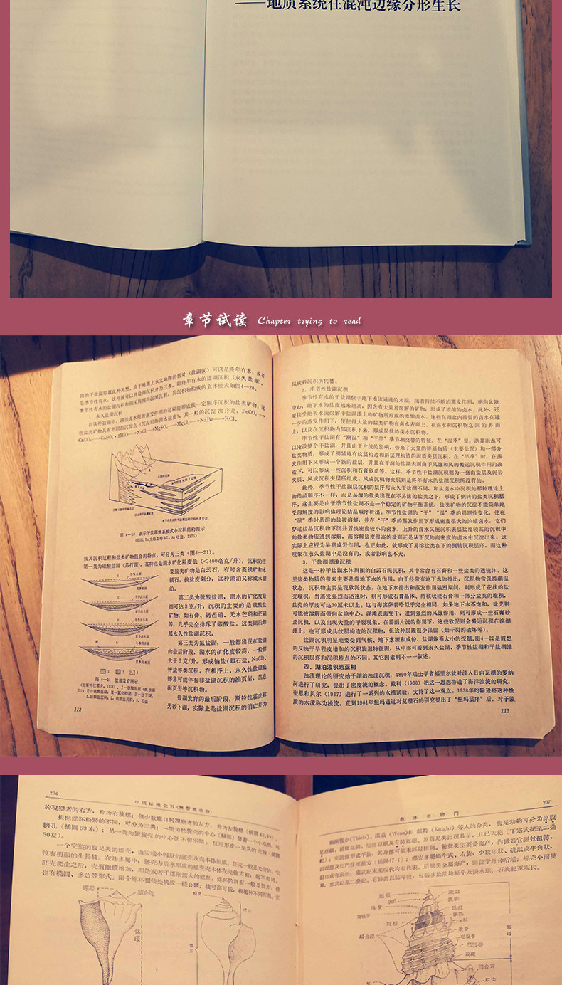 Геология 【官方自营】崇尚科学 致敬院士 地质学名著 院士文集及著作（② 矿床及找矿方法） 全套2箱 33册 地质出版社鼎力推荐