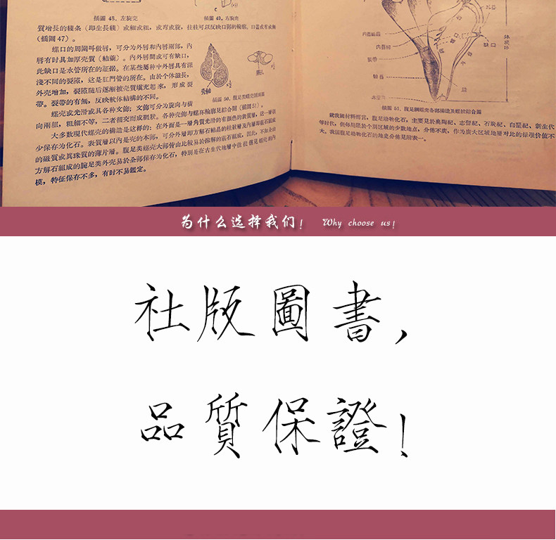 Геология 【官方自营】崇尚科学 致敬院士 地质学名著 院士文集及著作（② 矿床及找矿方法） 全套2箱 33册 地质出版社鼎力推荐
