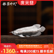 Silver Age Silver Dragon Fish Tea Pet Sterling Silver 999 ornaments boutique can raise gifts collection Tea play tea table ornaments