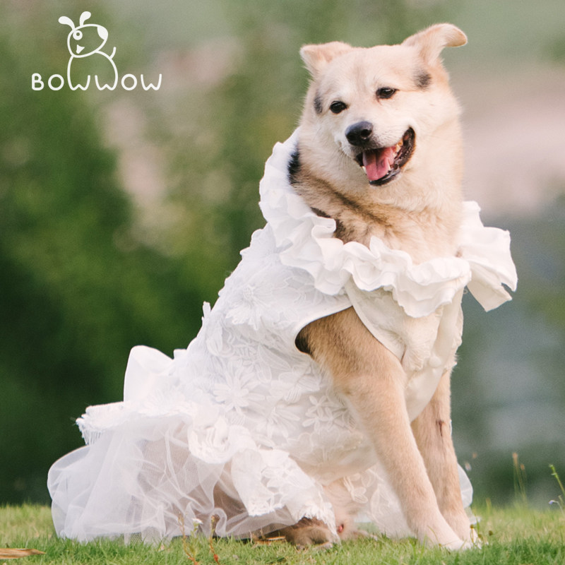 dog wedding dress golden retriever Yellow Mirror Dog Frock Wedding Dress– Designer Bridal Outfit for Pets