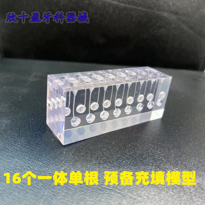 牙科树脂根管练习块 模拟牙体牙髓透明髓腔充填 机扩预备充填模型