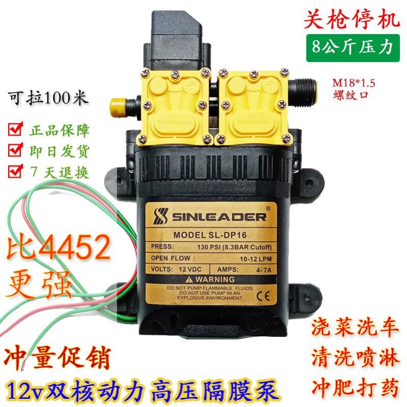 12v Diaphragm Pump Electric Nebulizer High Pressure Double Nuclear Power Pump High Power High Pressure Car Wash Fattening Spray Drug Double Pump