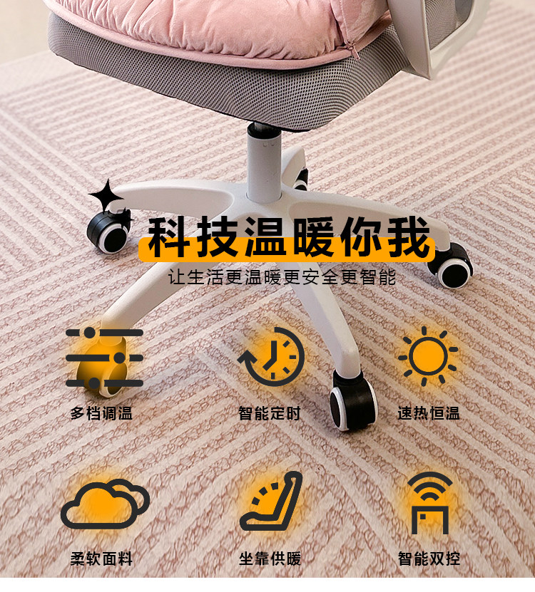 2-in-1 Heated Lumbar Support Seat Cushion & Back Pad - Taobao product photo 7