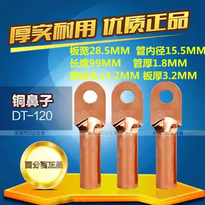 DT-120 square copper nose wire nose cable copper wire ear plug oil copper connector Copper terminal national standard tinned