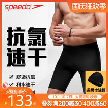 speedo speedo mens new 5-point swimming trunks professional quick-drying anti-chlorine knee five-point swimming trunks