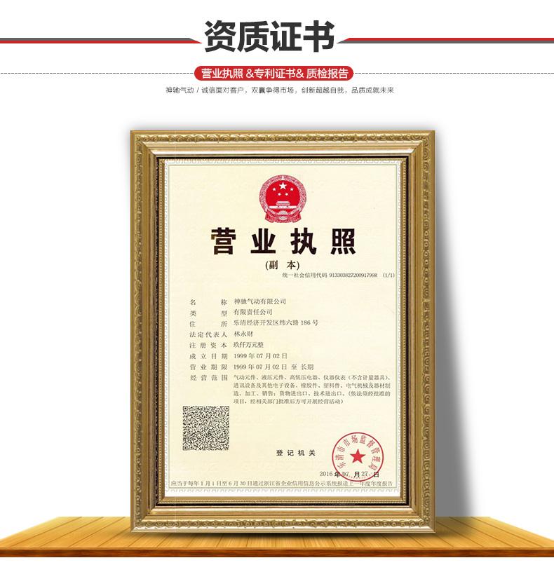 SNS Shenchi Dụng cụ khí nén Dòng 2WG Nhiệt độ cao Van nước Đồng đầy đủ Van điện từ chất lượng Đồng thau - Công cụ điện khí nén