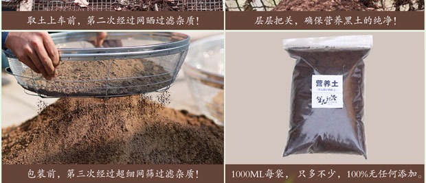 Đất mùn mùn đất dinh dưỡng trồng hoa trồng rau sâu núi đen đất hữu cơ làm vườn vô trùng bình tưới cây