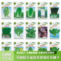 Jing Research Leaf Vegetable Seeds Great Cabbage Rape Celery Spinach Cilantro Cilantro Leeks Largush Green Onion Easy To Grow Vegetable Seed Holes