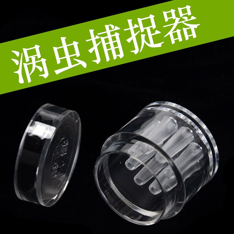 Acrylic Trap leech Leech Worm protein Insect Trap Trappers Trap 8-8-hole Insect Trap