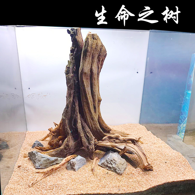 Moss Tree, Tree of Life, Landscaping Tree, One-Of-A-Kind, Aquatic Plant Tank, Fish Tank, Driftwood, Aquatic Landscape, Old Tree, Water Banyan Tree