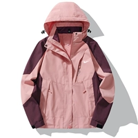 1818 Женский розовый [обычный] весна и осенний стиль - маленький сингл