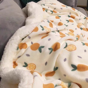 双层加厚羊羔绒毛毯