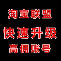 Fast pusher Taobao Alliance upgrade Premium account High commission studio on behalf of safe efficient fast and reliable