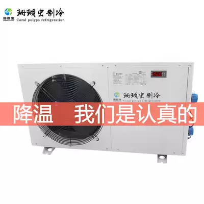 Polyps seafood fish pond aquaculture chiller Aquatic cold water constant temperature seafood pool refrigeration unit small chiller
