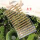 đèn pha led 10w Cửa hàng bách hóa Yuexin Kỹ thuật số Trang trí nội thất Sticker Sun Flower Jelly rhinestone Sticker Flash Diamond Diamond Sticker Nhiều loại - Thiết bị sân khấu 	hệ thống đèn chiếu sáng sân khấu