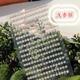 Cửa hàng bách hóa Yuexin Kỹ thuật số Trang trí nội thất Sticker Sun Flower Jelly rhinestone Sticker Flash Diamond Diamond Sticker Nhiều loại - Thiết bị sân khấu