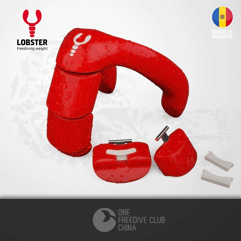 Lobster Lobster Lobster Weight - Delivery China Edition with Free Diving Pool