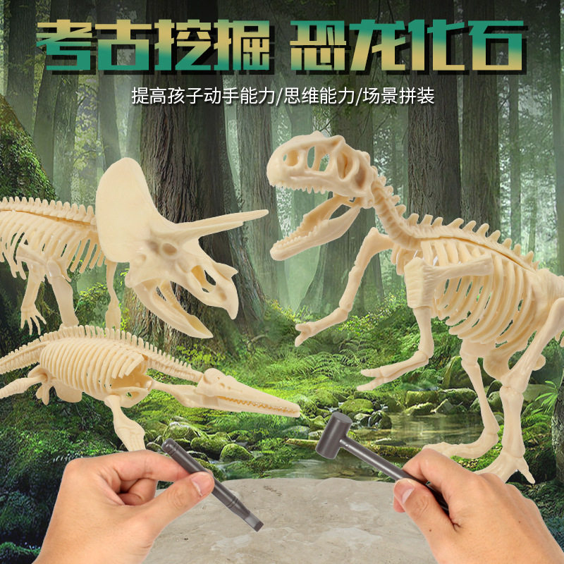 Site Dinosaur Fossil Archaeological Excavation of Toy Original Stone Model Emulation Diybully Royal Dragon Skeleton Assembled Treasure